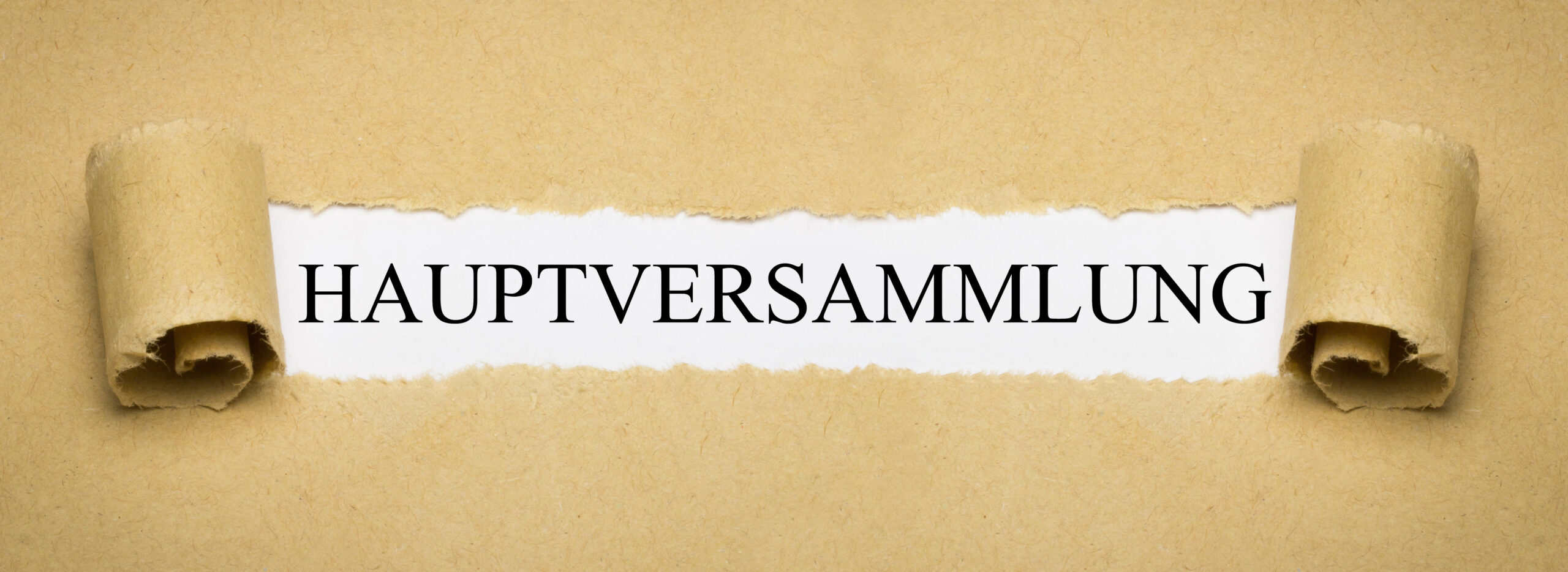 Jahreshauptversammlung